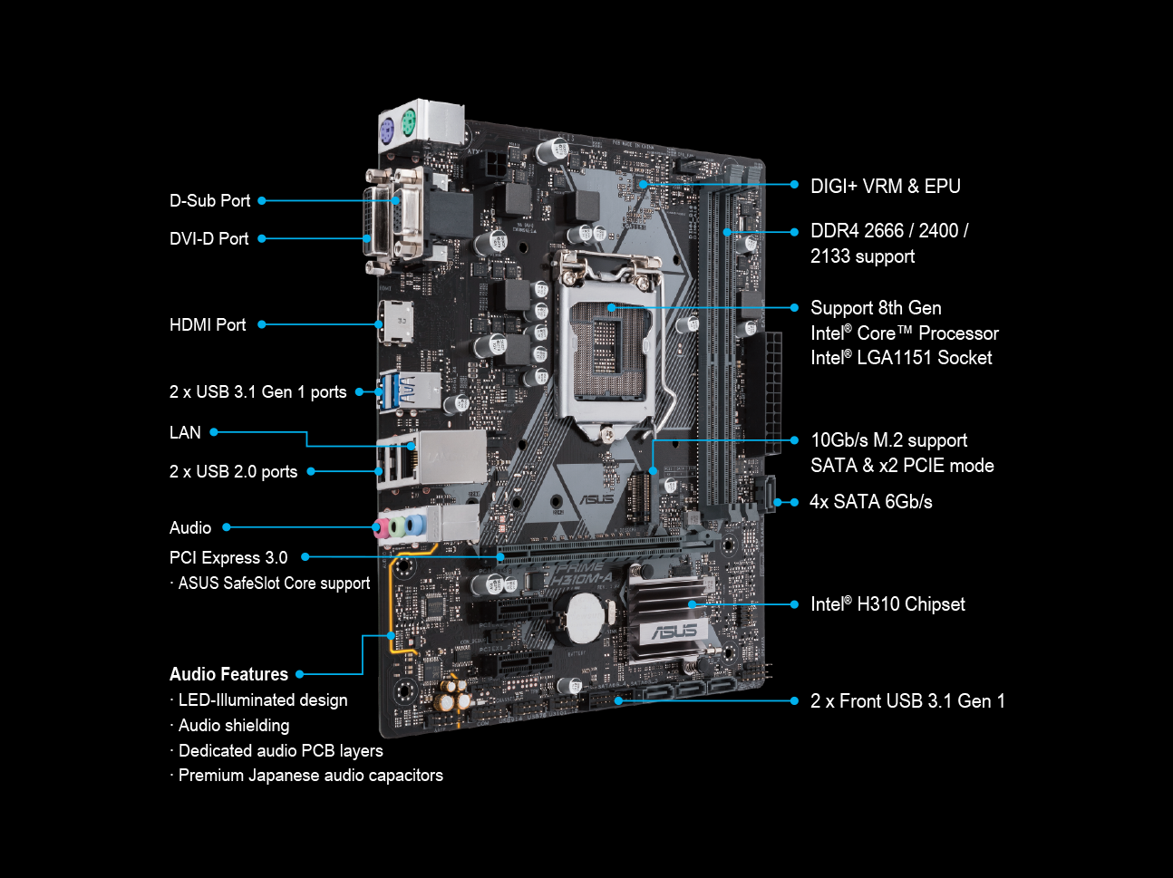 PRIME H310M-A｜Motherboards｜ASUS USA